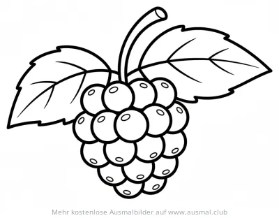 Brombeere Ausmalbild mit Blättern