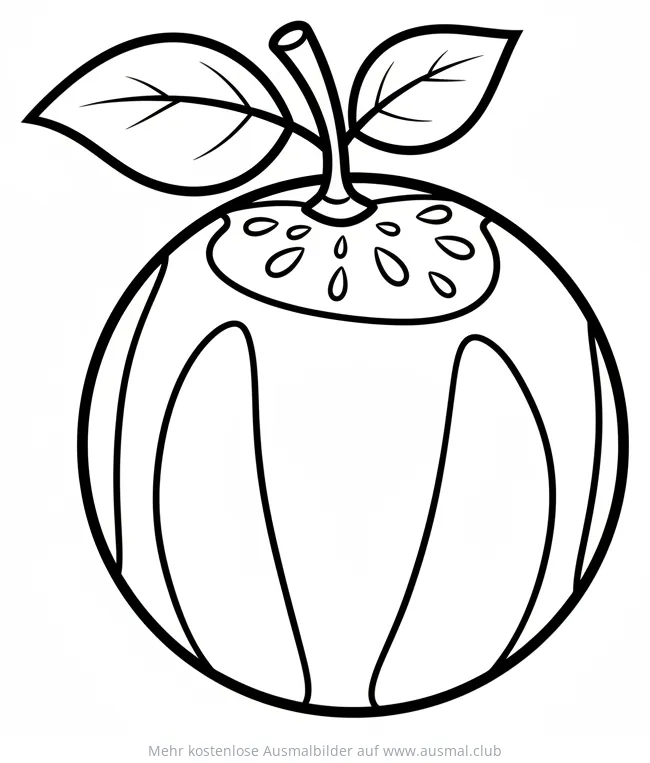 Melone Ausmalbild