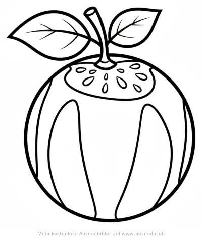 Melone Ausmalbild