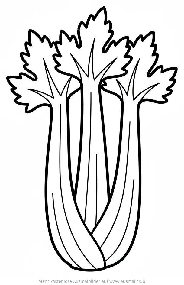 Sellerie Ausmalbild