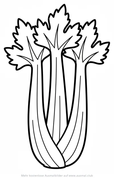 Sellerie Ausmalbild