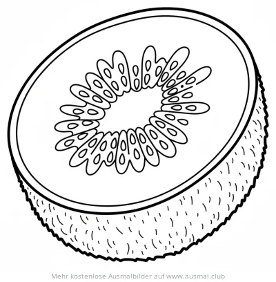 Kiwi Ausmalbild