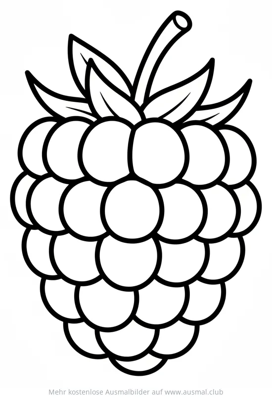 Himbeere Ausmalbild mit Blättern