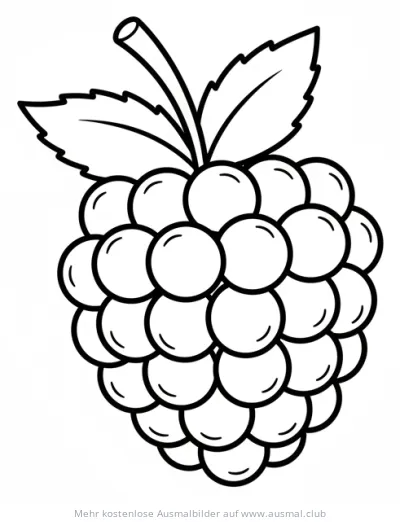 Brombeere Ausmalbild mit Stiel und Blättern