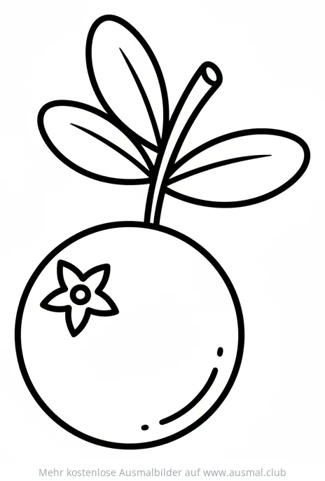 Cranberry Ausmalbild mit Blättern