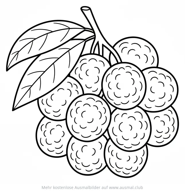 Litschi Zweig mit Blättern Ausmalbild