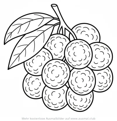 Litschi Zweig mit Blättern Ausmalbild