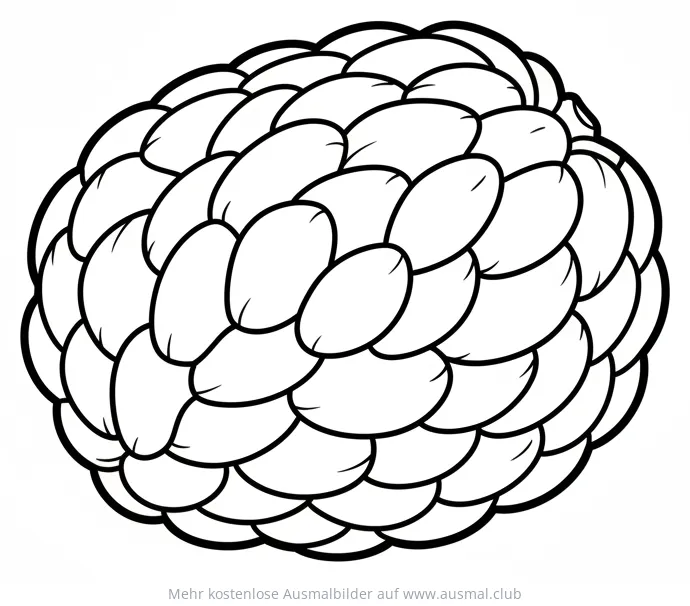Cherimoya Frucht Ausmalbild