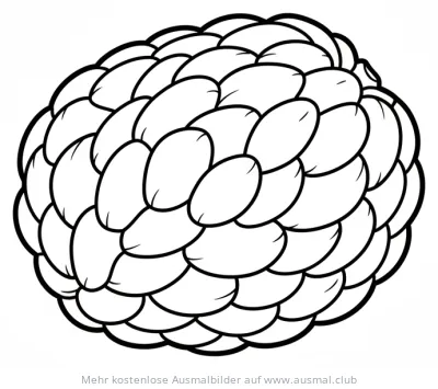 Cherimoya Frucht Ausmalbild