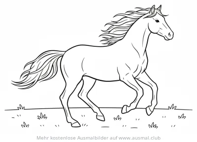 Galoppierendes Pferd Ausmalbild