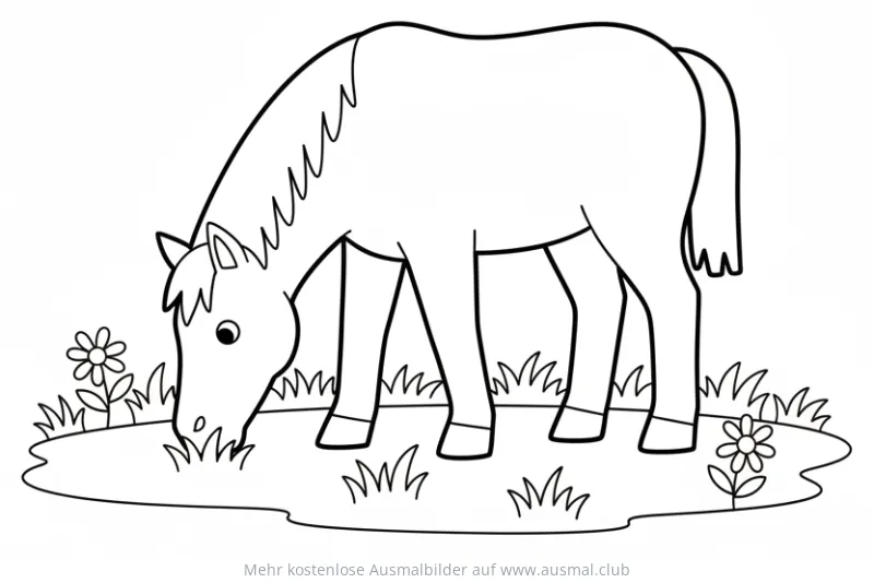 Pferd frisst Gras auf der Weide Ausmalbild