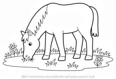 Pferd frisst Gras auf der Weide Ausmalbild