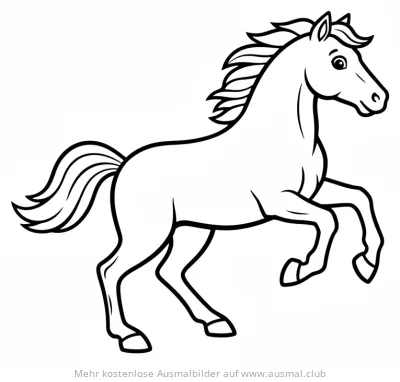 Steigendes Pferd Ausmalbild