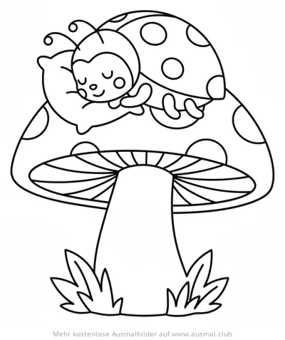 Schlafender Marienkäfer auf Kissen, auf Pilz Ausmalbild