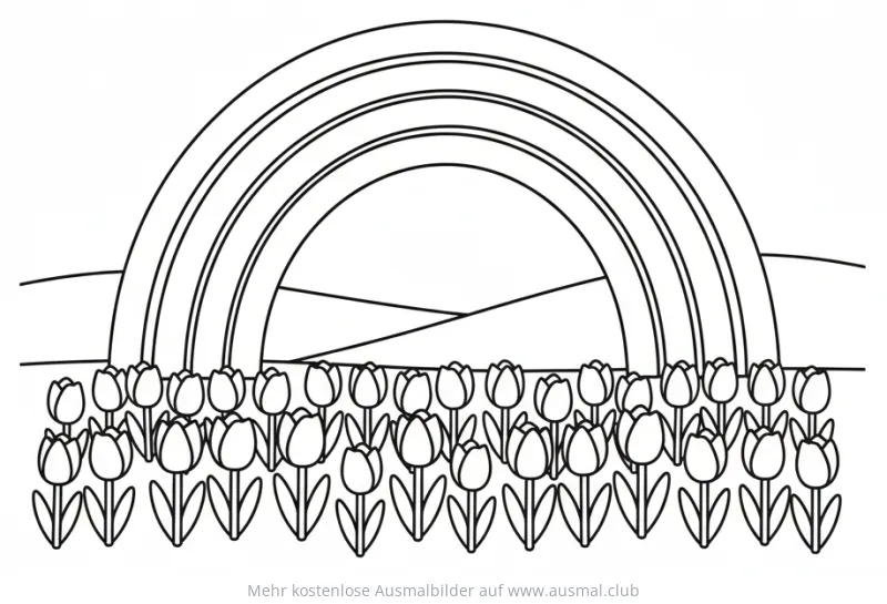 Regenbogen über Tulpenfeld Ausmalbild
