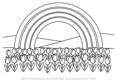 Regenbogen über Tulpenfeld Ausmalbild