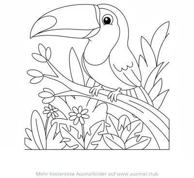Tukan Ausmalbild auf Ast im Regenwald