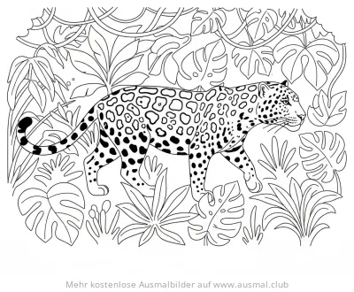 Jaguar Ausmalbild im Dschungel