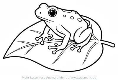 Pfeilgiftfrosch auf Blatt Ausmalbild
