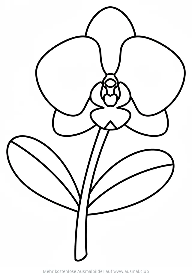 Orchidee Ausmalbild mit Blättern und Stiel