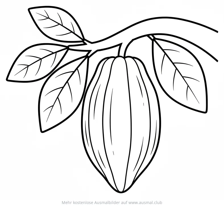 Kakao Frucht am Ast Ausmalbild