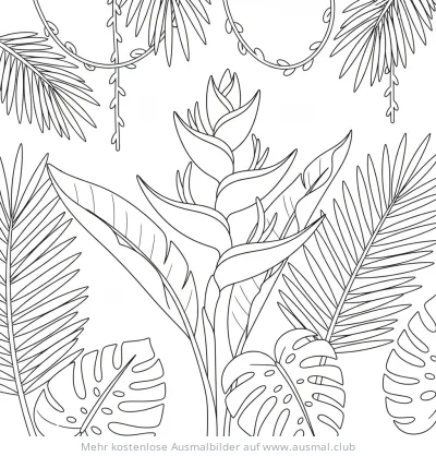 Heliconia Blüte Ausmalbild im Regenwald mit Blättern