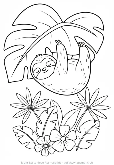 Faultier hängt an Blatt im Regenwald Ausmalbild