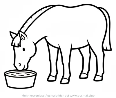 Pferd trinkt aus Kübel Ausmalbild
