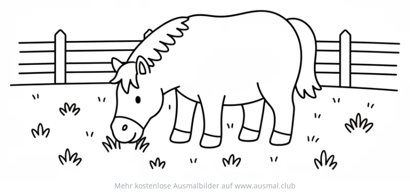 Pferd frisst Gras auf Weide Ausmalbild