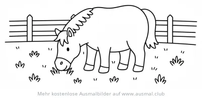 Pferd frisst Gras auf Weide Ausmalbild