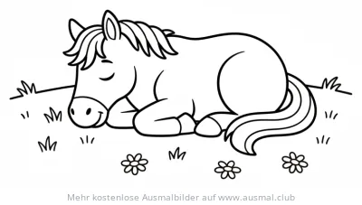 Ruhendes Pferd Ausmalbild im Gras