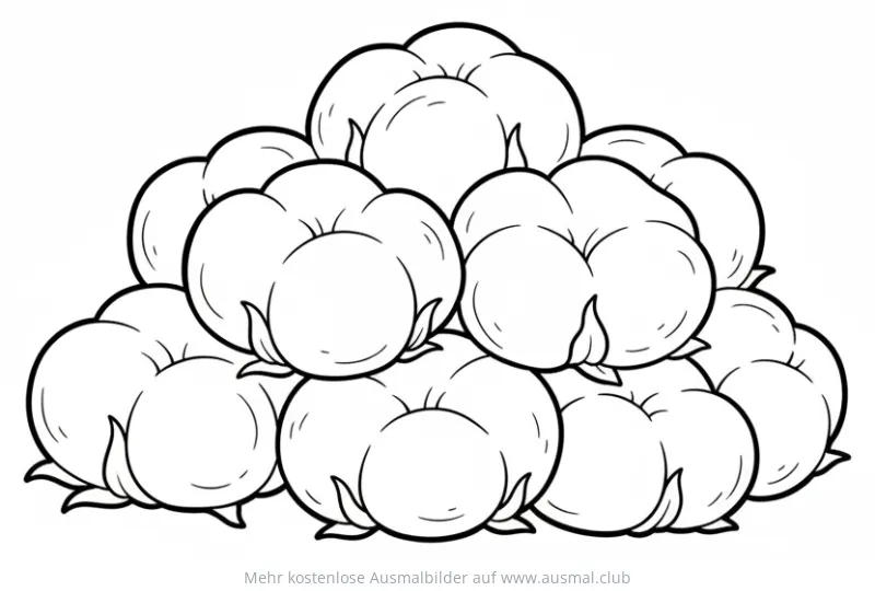 Wattebäusche Ausmalbild