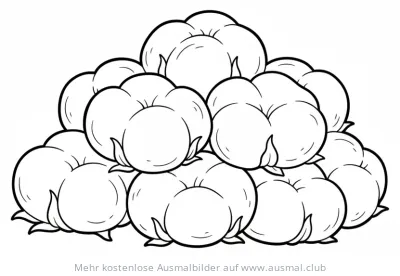 Wattebäusche Ausmalbild