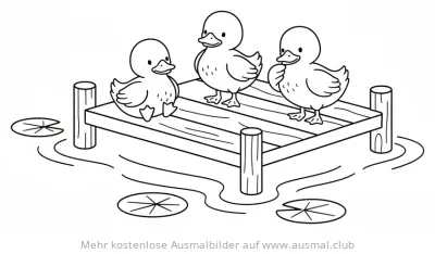 Drei Entenküken auf einem Holzsteg Ausmalbild