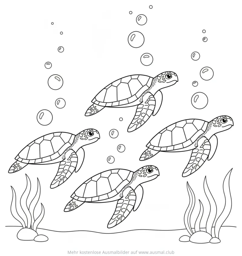 Vier Schildkröten schwimmen unter Wasser, Ausmalbild