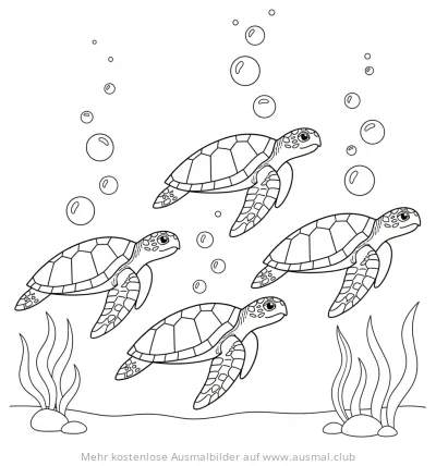 Vier Schildkröten schwimmen unter Wasser, Ausmalbild