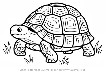 Landschildkröte Ausmalbild im Gras
