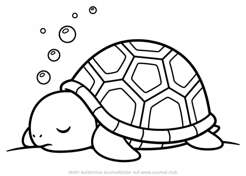 Schlafende Schildkröte Ausmalbild mit Blasen