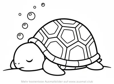 Schlafende Schildkröte Ausmalbild mit Blasen