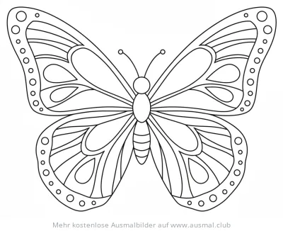 Symmetrischer Schmetterling mit Mustern Ausmalbild