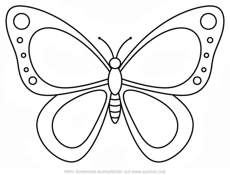 Schmetterling mit leeren Flügeln zum Bemalen Ausmalbild