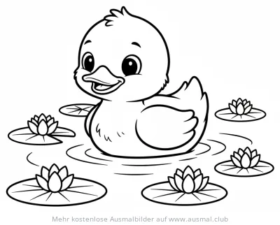 Ente schwimmt auf dem Wasser zwischen Seerosen Ausmalbild