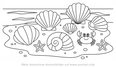 Muscheln, Seesterne und Krabbe am Strand Ausmalbild