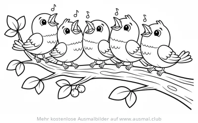 Fünf singende Vögel auf einem Ast Ausmalbild