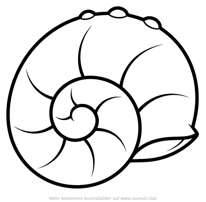 Muschel Ausmalbild einfache Form