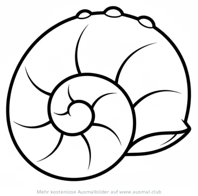 Muschel Ausmalbild einfache Form
