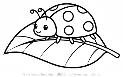 Marienkäfer auf Blatt Ausmalbild
