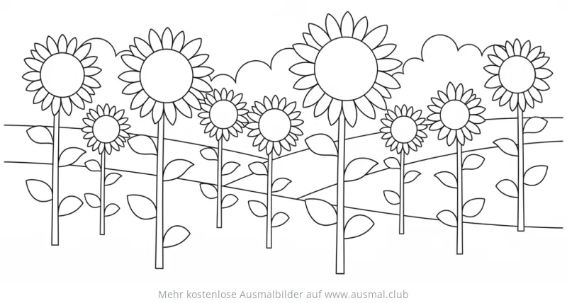 Sonnenblumenfeld Ausmalbild