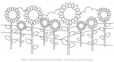 Sonnenblumenfeld Ausmalbild