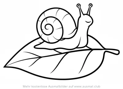 Schnecke auf Blatt Ausmalbild